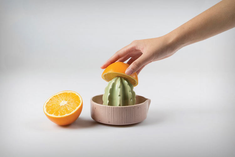 Juicing Cactus Juicer