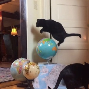 Leapfrog Globe Leap