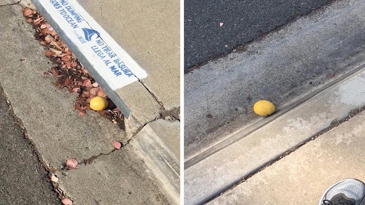 Random Lemon Rolling Down Street