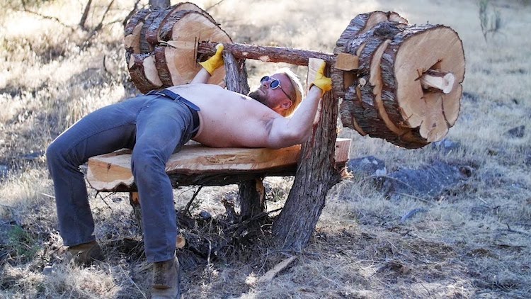 Tree Bench Press