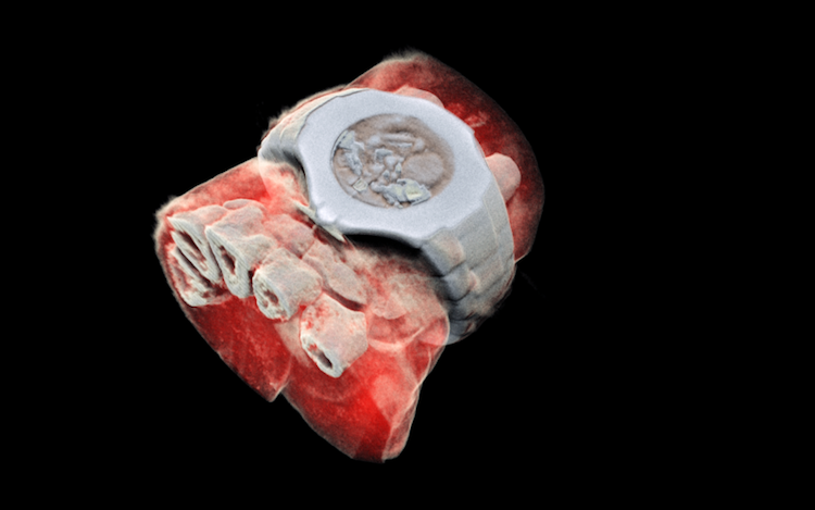 Wristwatch-3D-Scan.png