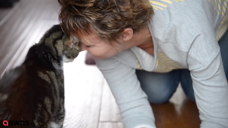 Elderly Cat Returns Home After 13 Years