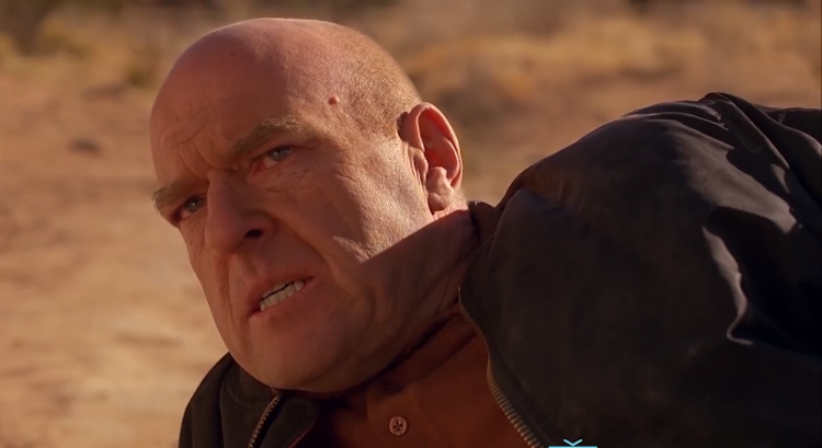 How Hank Schrader of 'Breaking Bad' Became a Real Hero in a World of  Sympathetic Anti-Heroes