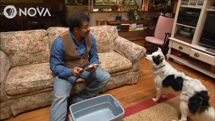 Neil deGrasse Tyson and Chaser
