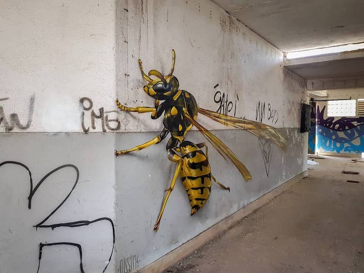 Odeith-WASP.jpg