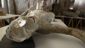 Pompeii Man Facial Reconstruction