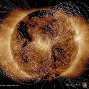 Sun's Magnetic Fields Pictured