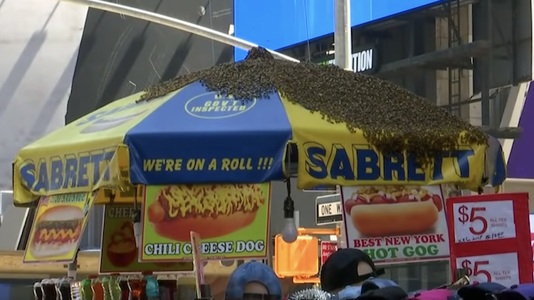 Times-Square-Honeybees-Hot-Dog-Cart.png