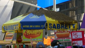 Times Square Honeybees Hot Dog Cart