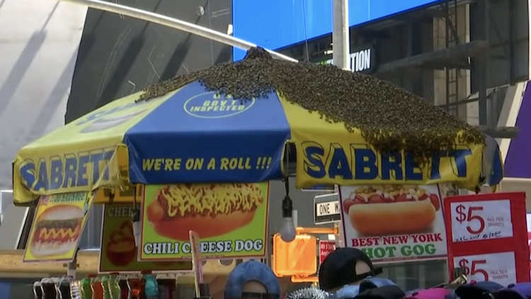 Times Square Honeybees Hot Dog Cart