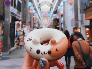 Animal Donut Japan