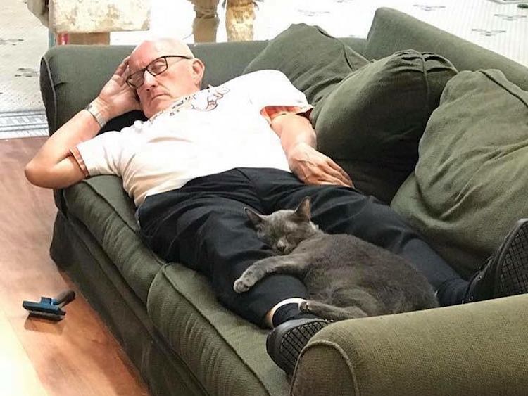 Cat-Grandpa-Gray-Kitty.jpg