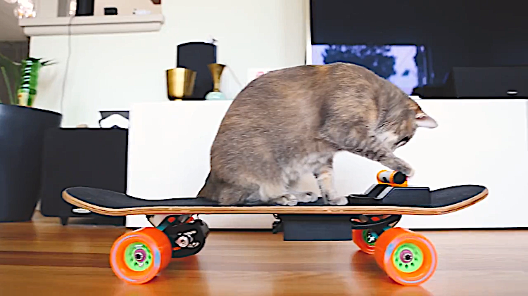 Electric Skateboard for Cats