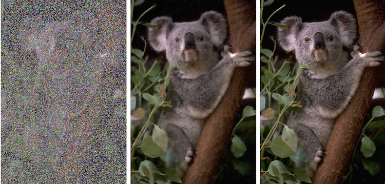 Koala NVIDIA Noise AI