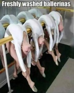 Freshly Washed Ballerinas