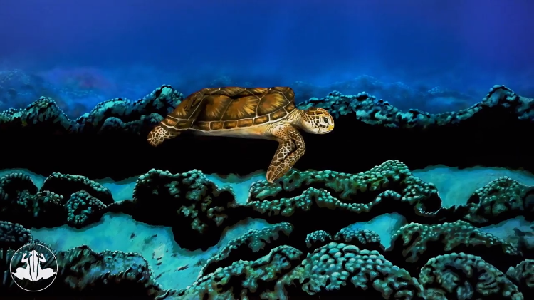 Sea Turtle Johannes Stotter