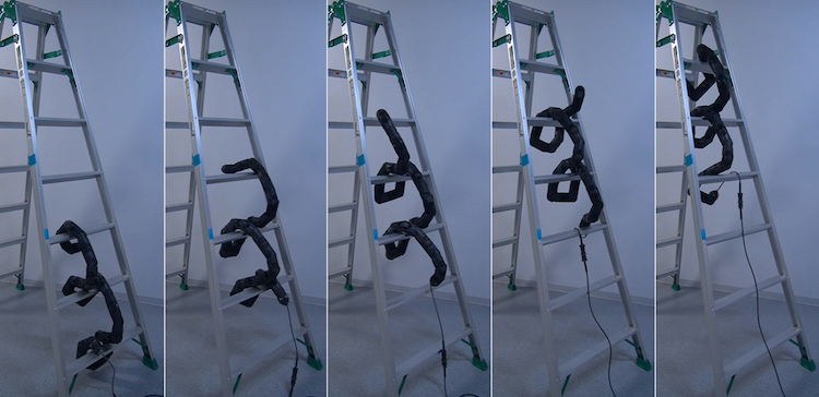 Snake-Robot-Climbing-Ladder.jpeg