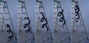 Ladder Climbing with a Snake Robot