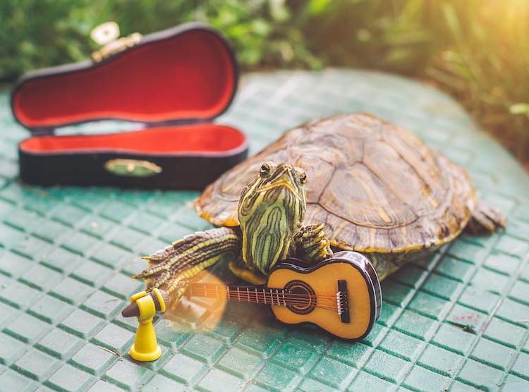 Squishy-and-Rosy-Guitar-and-fan.jpg