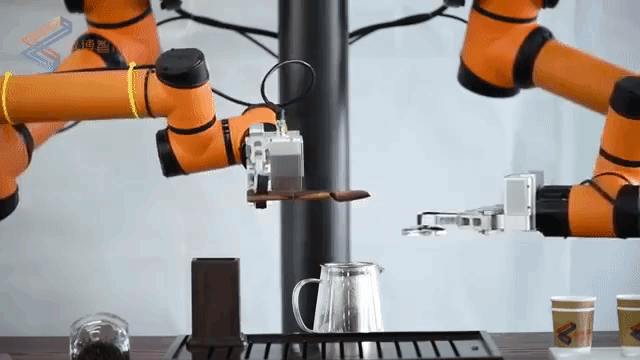 Tea Robot Tea Leaves