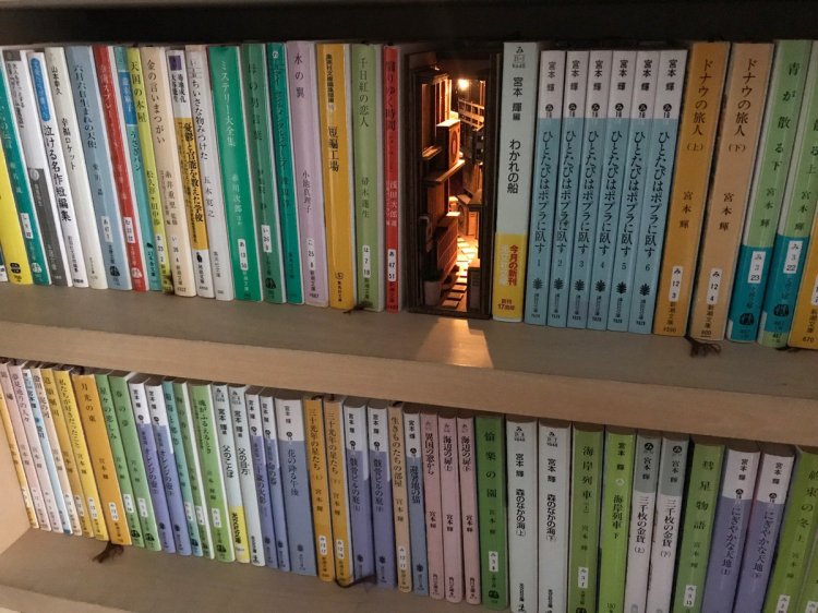 Bookshelf Insert Shelf