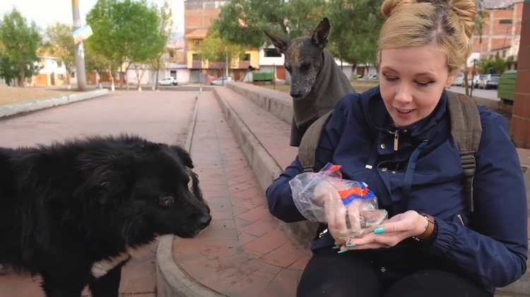 Feeding-Stray-Dogs-in-Cusco-Peru.png