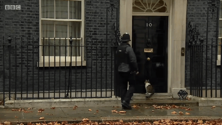 Larry the Cat Gets Let Inside 10 Downing by Police Officer