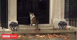 Larry the Cat Police Officer 10 Downing