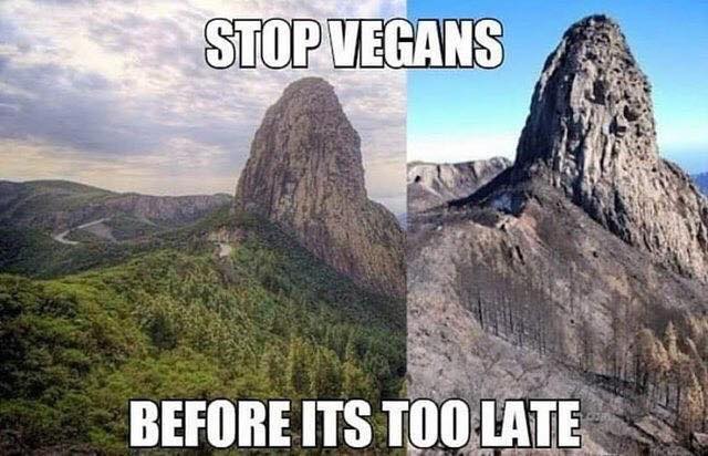 Stop Vegans