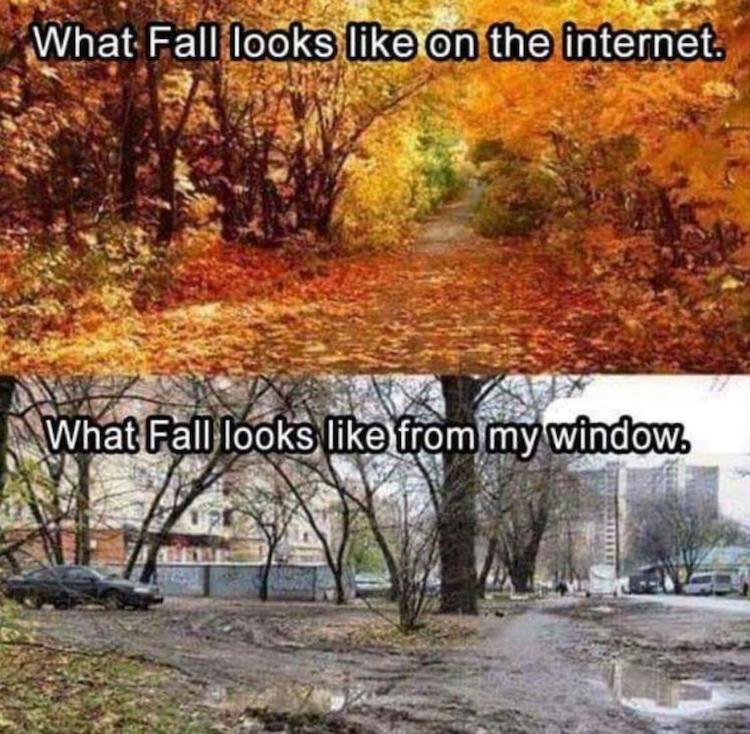 What Fall Looks Like