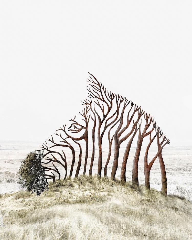 Zebra Tree