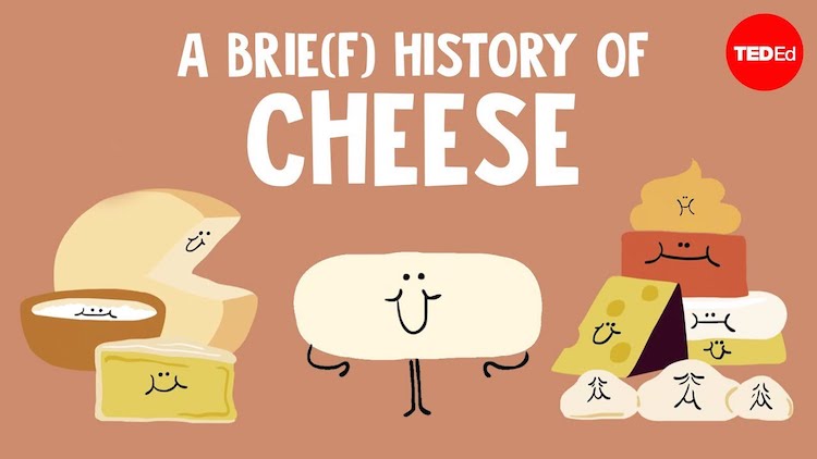 A-Brief-History-of-Cheese.jpg