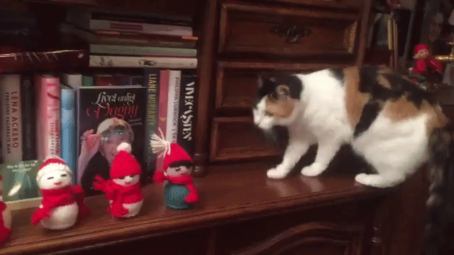 Calico-Cat-Knocks-Down-Christmas-Figurines.gif