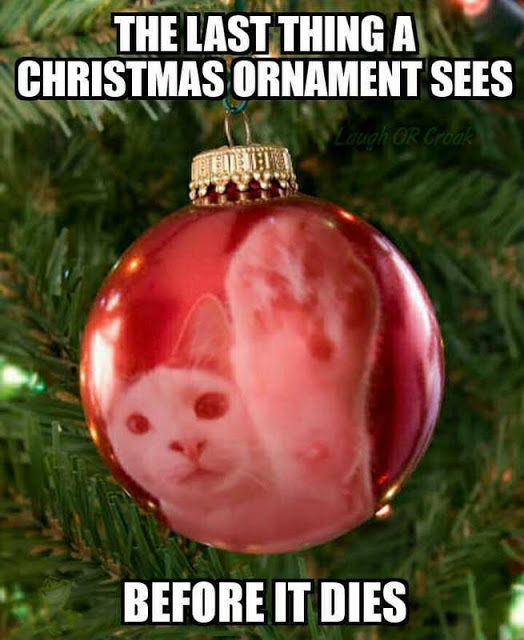 Christmas Ornament Cat