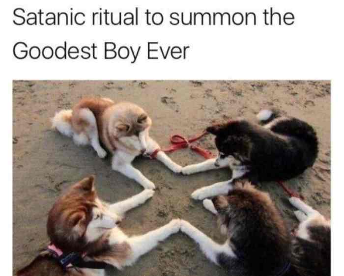 Goodest-Boy-Ever.jpg