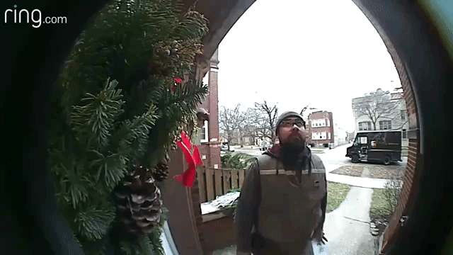 Squirrel Jumps UPS Driver Delivery