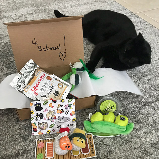 meowbox canada