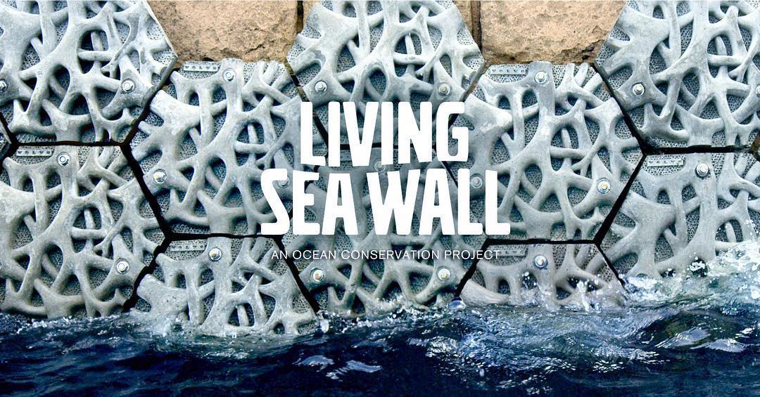 Living-Seawall.jpg