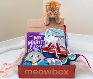 Meowbox Box