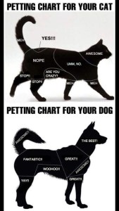 Petting Charts For Cats and Dogs