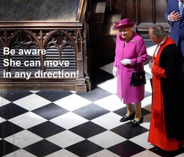 Queen Chess Move