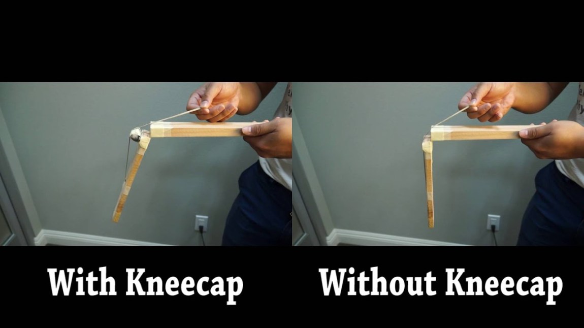 The Importance of Kneecaps Demonstration