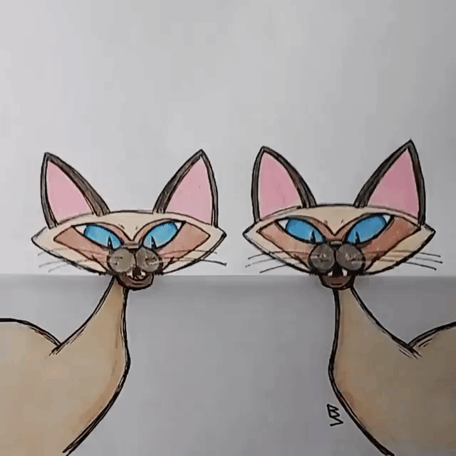 Ben Avlis Cats Animation
