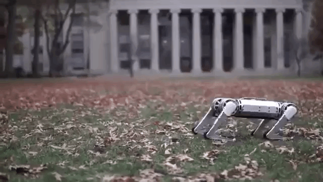 Backflipping Mini Cheetah MIT Robotics
