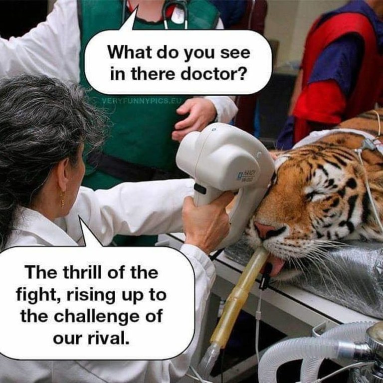 Eye of the Tiger