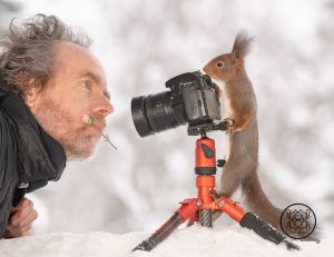 Geert Weggen and Red Squirrel Taking Photo