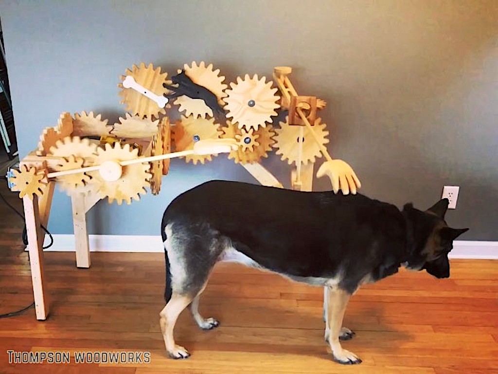Rube Goldberg Automatic Dog Petter