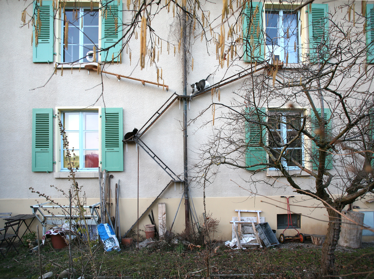 Swiss-Cat-Ladder.jpg