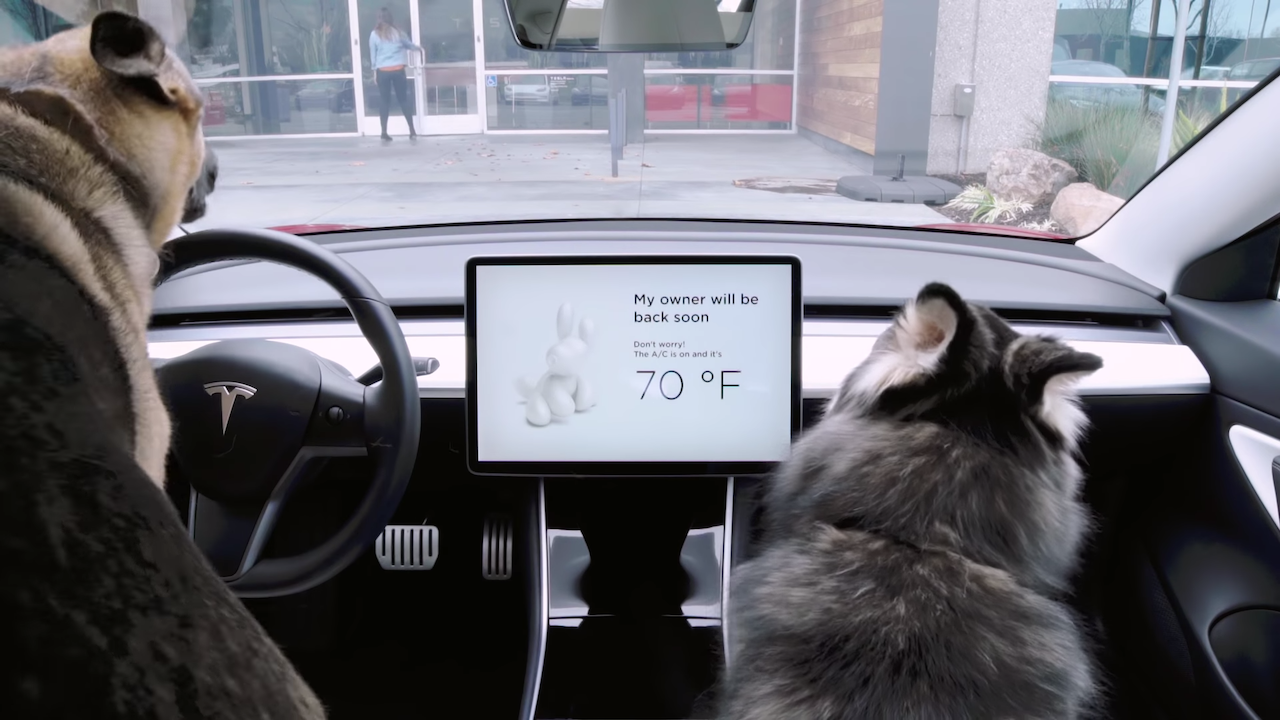 Tesla Introduces a Temperature Regulating 'Dog Mode' That Assures ...