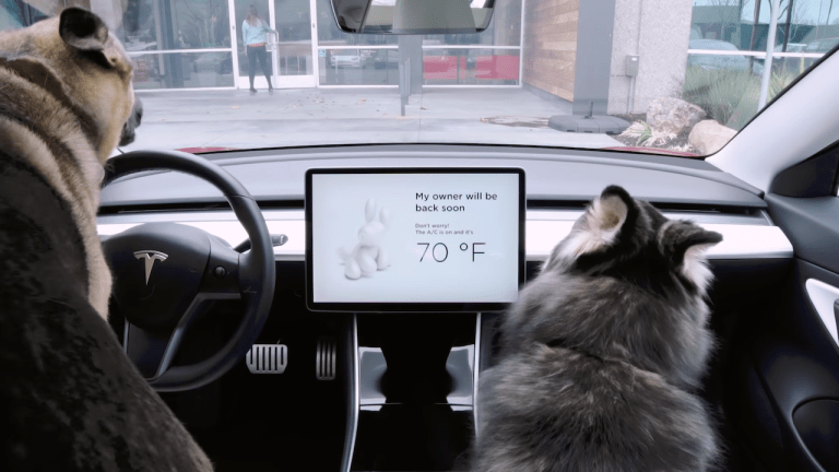 Tesla Dog Mode